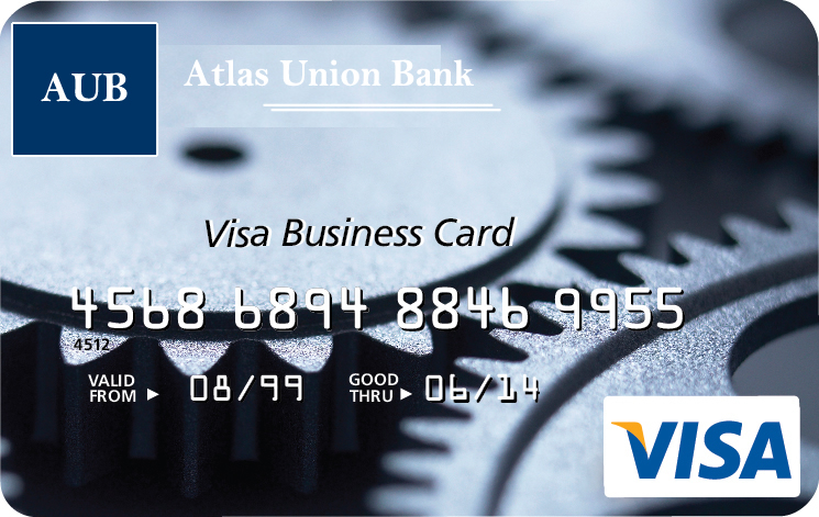 Visa Business Card